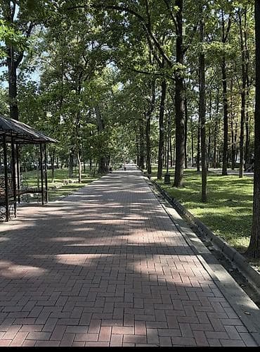 70 сом: 1 бөлмө, 33 м², Эркиндик бульвары Жеке план, 2 кабат, Косметикалык оңдоо — 3