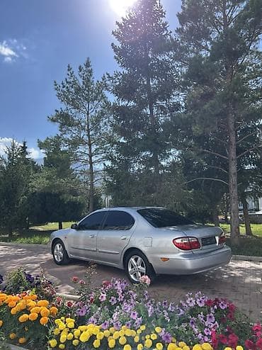 lexus sedan: Nissan Maxima: 2002 г., 2 л, Механика, Бензин, Седан — 6