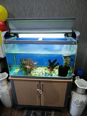 аквариумы с рыбками: Заводской аквариумный комплект на тумбе со всеми оборудованиямии — 3