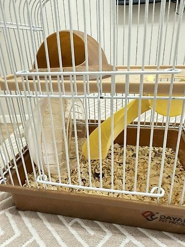 Клетка для хомяка/декоративного грызуна с аксессуарами - Материал