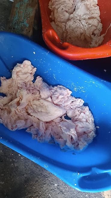 парный одежда: Баранина внутренний жир бараний - Натуральный курдючный жир, получен — 2