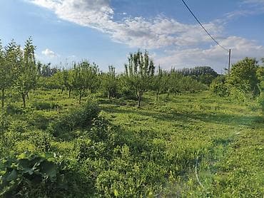 сдаю кафе в бишкеке: 100 соток, Для бизнеса, Договор купли-продажи — 7