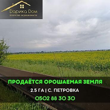 250 соток