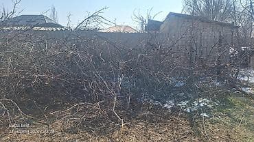 Таңгактоо товарлары: Отун Өзү алып кетүү — 2