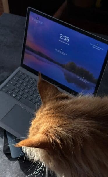 ноутбук фуджитсу бу: Ультрабук, Microsoft Surface, 13.5 ", Колдонулган, Жумуш, окуу үчүн — 2