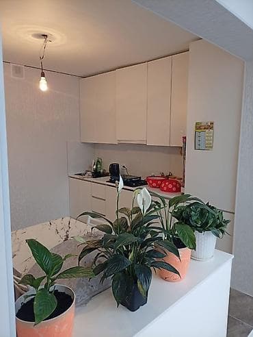 адна комната: 1 комната, 43 м², 106 серия, 8 этаж, Евроремонт — 2