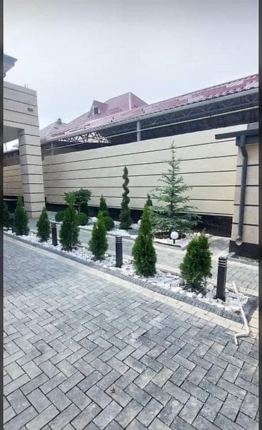 цветы акция: Сеем газон🌱🌱🌱🌱🌱 Установка Автополив 💦💦💦💦 Капельный полив 💧💧💧💧💧 По — 5