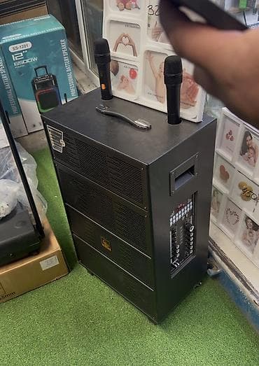 часы с пульсометром: Портативная акустическая система SSRJ KD-9 (15") Мощная мобильная — 2