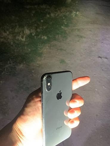 Техника и электроника: Все работает минус задняя крвшка, IPhone X, 64 ГБ, цвет Space Gray - — 4