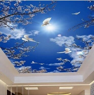 геомембрана бишкек: Керме шыптар Жылтырак, Жылтырабаган, 3D потолоктор Монтаждоо, Кепилдиги, Демонтаждоо — 2