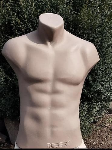 Соода жабдуулары: Манекен-торс мужской «ROBERT» - Тип: торс без головы и рук, с — 1
