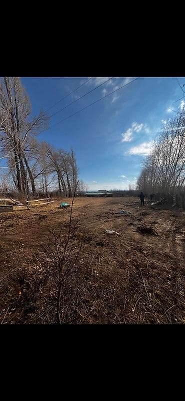 вагон чолпон ата: 6 соток, Бизнес үчүн, Кызыл китеп — 2