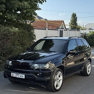 BMW X5: 2002 г., 4.6 л, Автомат