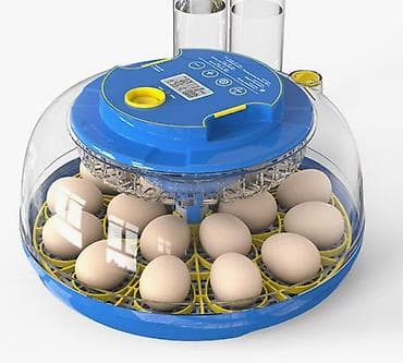 яйцо инкубационое: Инкубатор на 18 яиц с автоматическим поддержанием влажности и — 1
