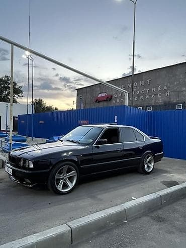 решетка нью райс: BMW 5 series: 1993 г., 2.3 л, Седан — 4
