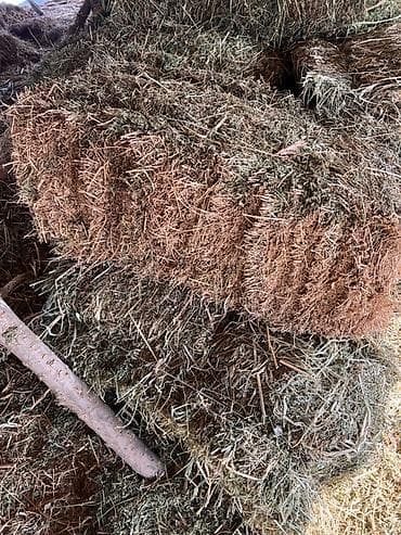 Сено в тюках. - Прессованные прямоугольные тюки, удобные для хранения