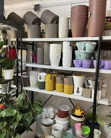 фикусы бенджамина: Пластиковые кашпо и горшки для комнатных и уличных растений. - Формы — 5