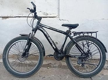 а 140: Горный велосипед, Рама XL (180 - 195 см), Сталь, Новый — 1