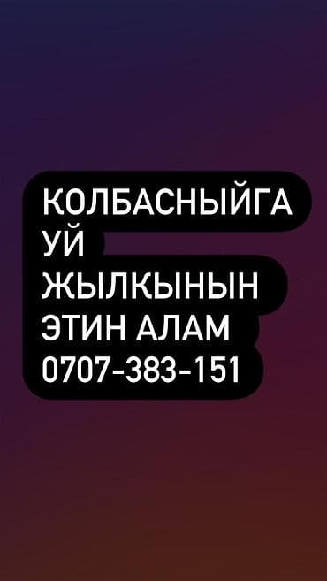 Животные: Скупаем вынуждены забой на колбасный цех — 1