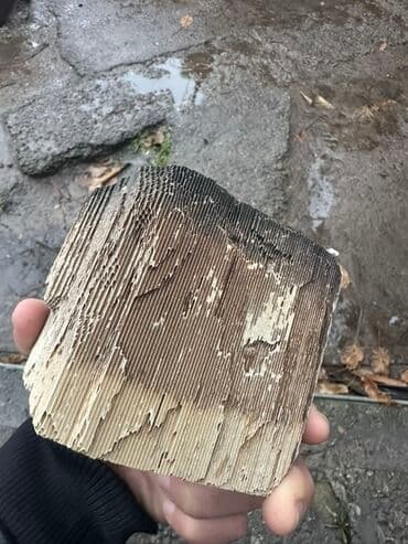 машина в рассрочку бишкек без первоначального взноса: Катализатор Фура катализатор фура скупка катализаторов катализатор — 2