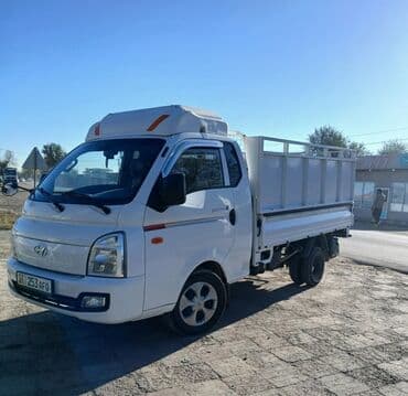 Вывоз мусора и хлама на малотоннажном грузовике. - Вынос и погрузка в