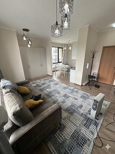 элит хаус: Студия, С мебелью полностью — 1