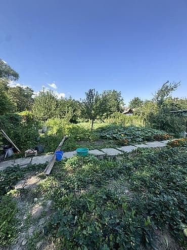 дача надежда: 🏡 ПРОДАЁТСЯ ДАЧА В КАШКА-СУУ 📍 Перспективная локация у подножия гор — 6