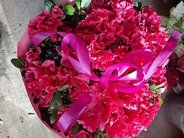 неделю: Спатифиллум (Spathiphyllum), крупное комнатное растение - Эффектный — 9