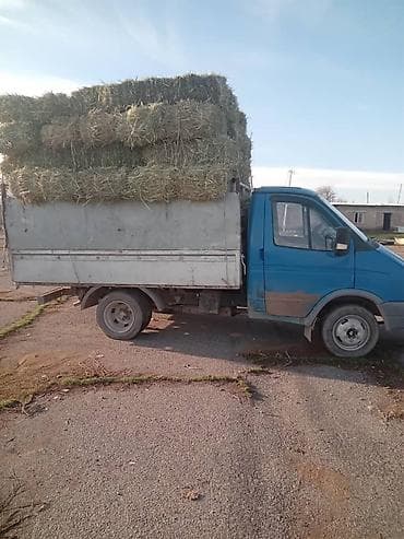 Жеңил жүк ташуучу унаа, GAZ, Стандарт, 3 т, Колдонулган — 3