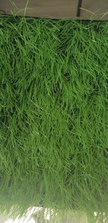 искусственный газон для мини футбольного поля цена бишкек: Искусственный газон для футбола 50 мм дитекс, искусственная трава для — 5