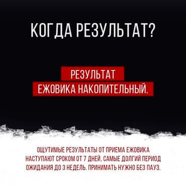 кофе в капсулах бишкек: Ежовик гребенчатый от MCLM. бад ✅️Доставка бесплатная 🍄цена за — 5