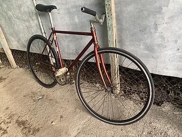 engine 11: Рама: plusque veloline lucy Double butted CR-MO В красивом цвете — 2