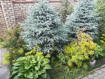 Үйлөрдү сатуу: 360 м², 10 бөлмө — 7