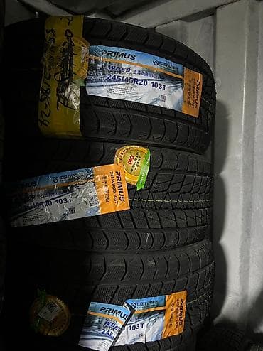 r 21: Зимняя китайская шина. Фирма Primus made in China. Размер 245/45R20 — 1
