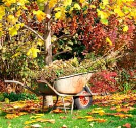 Садовник! Готовим Сад к Зиме! Обработка и обрезка Сада Уборка