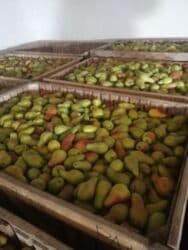 электронный жайнамаз бишкек цена: Алмуруттар Дүңүнөн, Өзү алып кетүү — 9