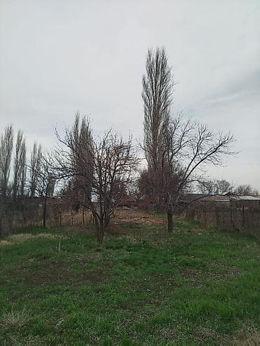 кайында дом: Продаётся дом из 4 ком, общий участок 18 соток есть все документы — 10