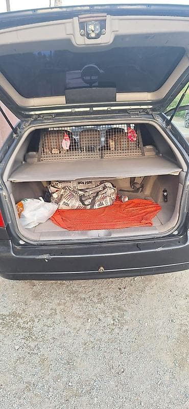 su 7: Nissan Primera: 2001 г., 2 л, Ручные, Бензин, Универсал — 8