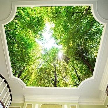 жылтырак: Керме шыптар Жылтырак Монтаждоо — 2