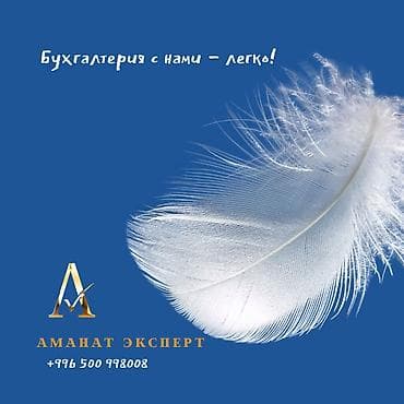 Бухгалтерские услуги | Подготовка налоговой отчетности, Сдача налоговой отчетности, Консультация