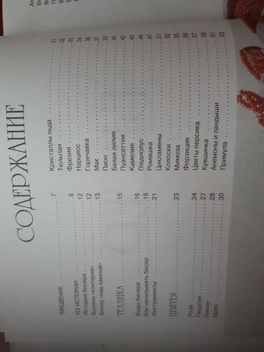 прикормочный кораблик с эхолотом и gps: Книга по которому вы сможете создать из бисера украшения, цветы — 2