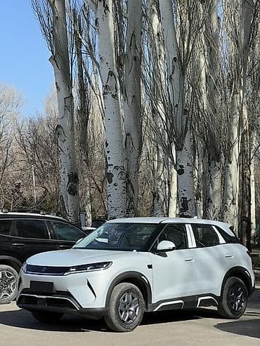 авто электрический: JMEV : 2025 г., Автомат, Электромобиль, Кроссовер — 4