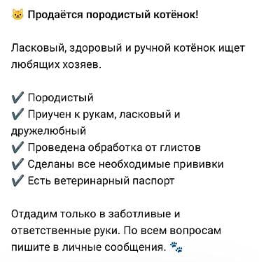 Продаю котенка — 1