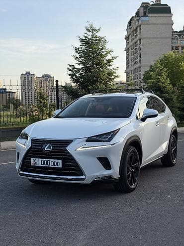 Lexus NX: 2021 г., 2.5 л, Автомат, Гибрид, Внедорожник