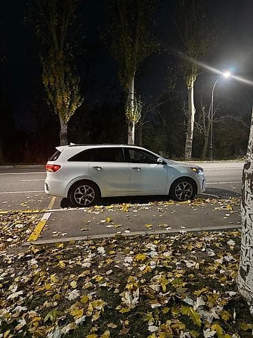 Ищу работу водителя стаж большой!