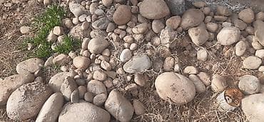 дорожек: Галька, Карьерный, Под фундамент, Портер — 6