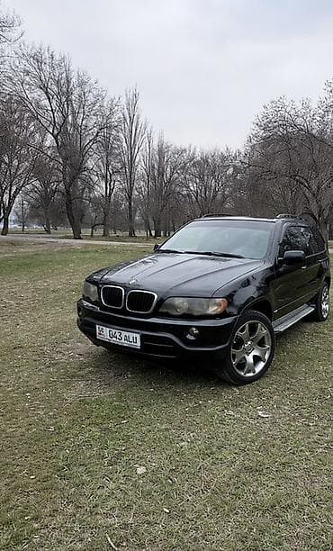 e53 4 8: BMW X5: 2003 г., 3 л, Автомат, Дизель, Кроссовер — 5