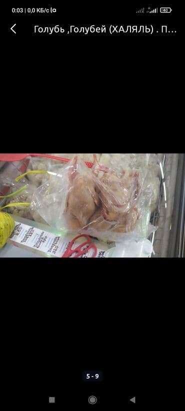 корм витакрафт для волнистых попугаев: Голуби домашние. есть породистые есть на мясо. яйца в наличии. чистое — 3