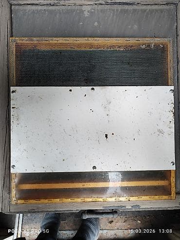 электро пчелка: ПРОДАМ Пчелопавилион. Нуклеусы. Лежаки. Медогонку Грановского — 5