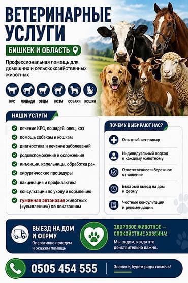 🐾 ВЕТЕРИНАРНЫЕ УСЛУГИ — БИШКЕК И ОБЛАСТЬ Профессиональная